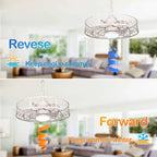 Ventilateur de plafond extérieur CurveCurio 24 avec éclairage LED étanche pour terrasse et intensité variable (3 températures de couleur), télécommande et application de contrôle