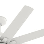 Ventilateur de plafond Hunter 60 Overton pour milieux humides, avec éclairage LED et commande murale - Style moulin à vent, transitionnel, moderne - ENERGY STAR