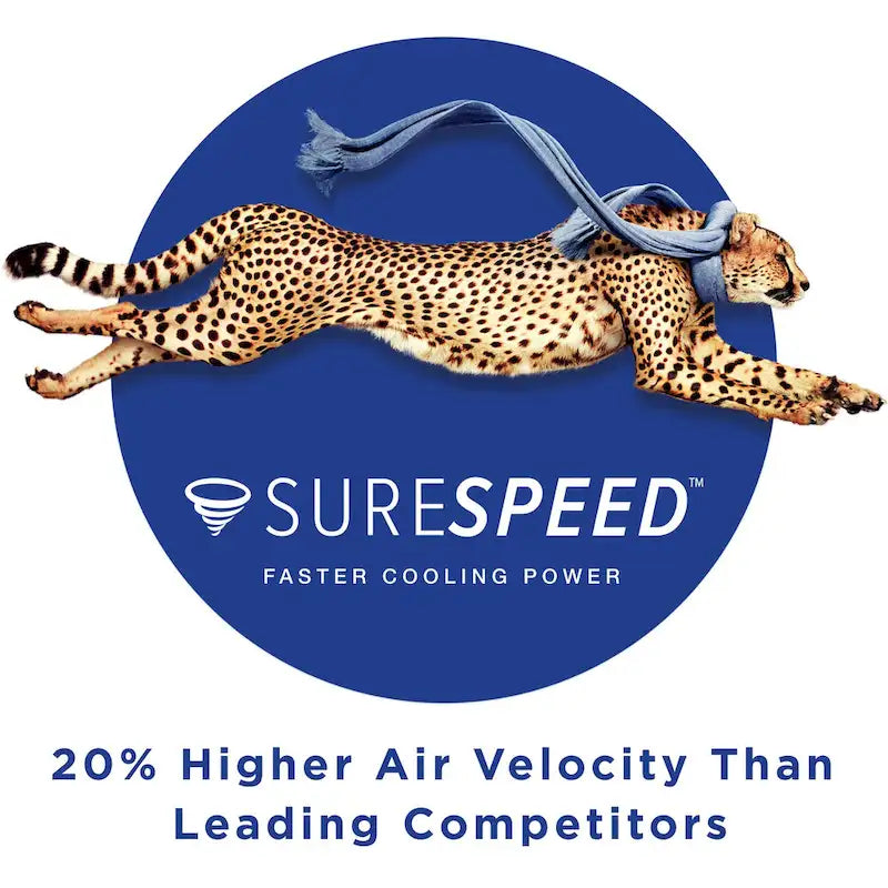 Ventilateur de plafond Hunter 60 Overton pour milieux humides, avec éclairage LED et commande murale - Style moulin à vent, transitionnel, moderne - ENERGY STAR