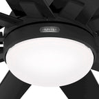 Ventilateur de plafond Hunter 60 Overton pour milieux humides, avec éclairage LED et commande murale - Style moulin à vent, transitionnel, moderne - ENERGY STAR