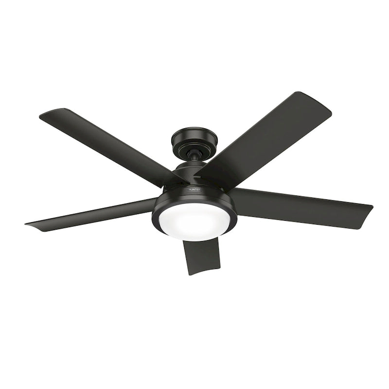Ventilateur de plafond extérieur Hunter 52 Seawall avec kit d'éclairage LED, commande murale - Résistant à l'eau !