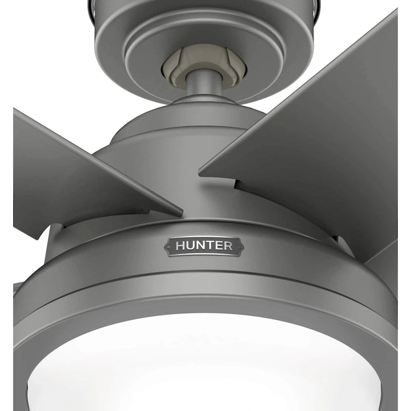 Ventilateur de plafond extérieur Hunter 52 Seawall avec kit d'éclairage LED, commande murale - Résistant à l'eau !