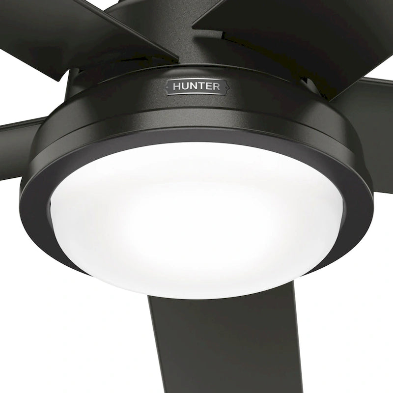 Ventilateur de plafond extérieur Hunter 52 Seawall avec kit d'éclairage LED, commande murale - Résistant à l'eau !