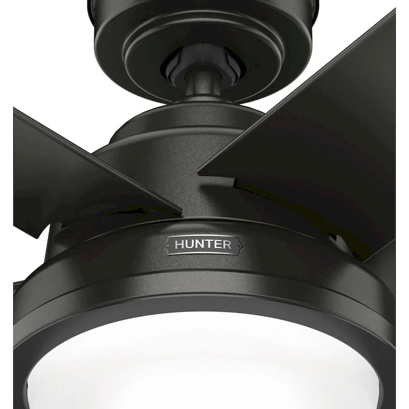 Ventilateur de plafond extérieur Hunter 52 Seawall avec kit d'éclairage LED, commande murale - Résistant à l'eau !