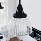 Hunter Cypress Grove 10  1-Light Pendant - Island, Dining Room - Industrial, Transitional, Contemporary