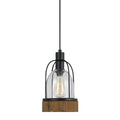 Beacon Bronze Finish Steel Wood Glass Pendant Light