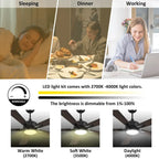 Ventilateur de plafond intelligent CARRO Elliott 52 à 5 pales avec éclairage LED et télécommande - Pales en noyer