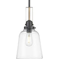Suspension miniature Rushton 9 de Progress Lighting