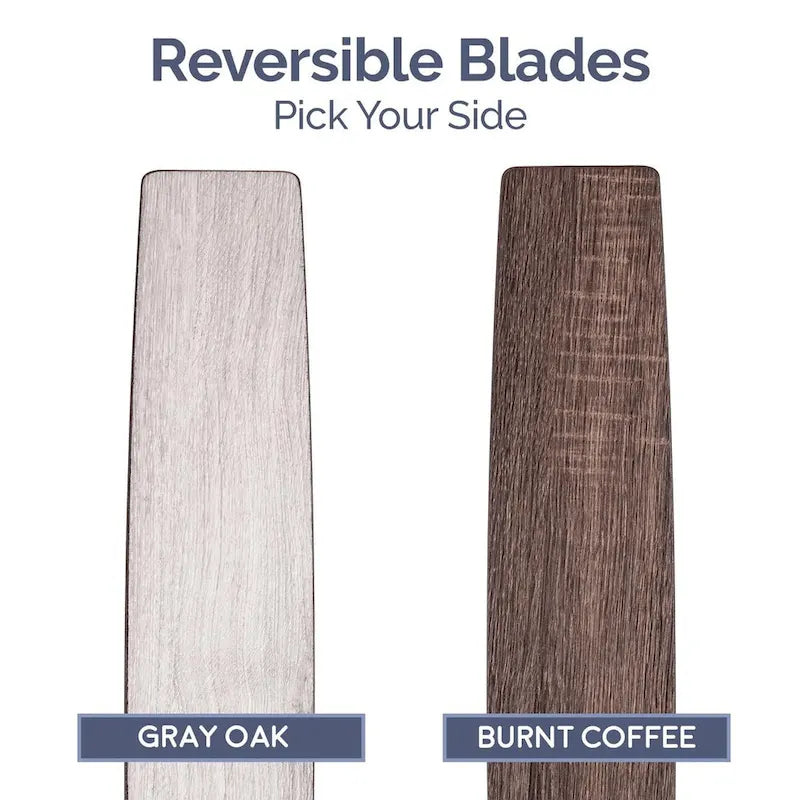 Ventilateur de plafond intérieur moderne Prominence Home Orbis Gun Metal avec éclairage LED et télécommande (52 pouces)