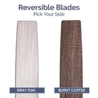 Ventilateur de plafond intérieur moderne Prominence Home Orbis Gun Metal avec éclairage LED et télécommande (52 pouces)