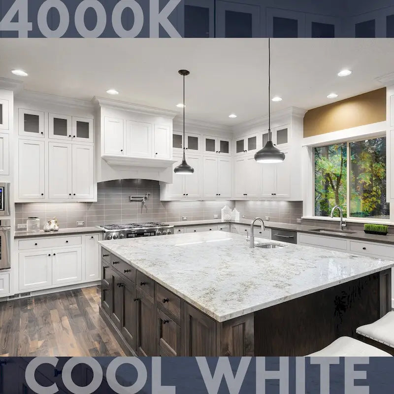 Ampoule LED Luxrite BR20, 6,5 W (équivalent 45 W), à intensité variable, 460 lumens, résistante à l'humidité, certifiée UL et Energy Star, culot E26, lot de 12.