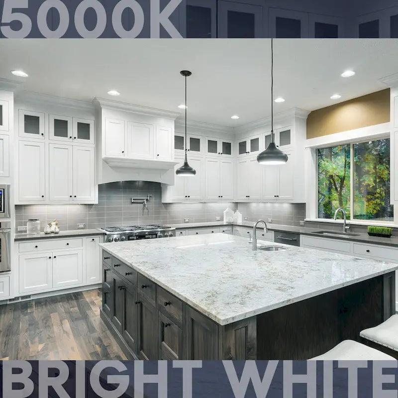 Ampoule LED Luxrite BR20, 6,5 W (équivalent 45 W), à intensité variable, 460 lumens, résistante à l'humidité, certifiée UL et Energy Star, culot E26, lot de 12.