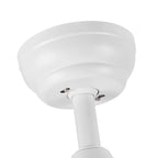 60  Ceiling Fan Light with Remote Control