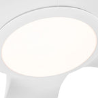 Ventilateur de plafond avec éclairage et télécommande (60 pouces)