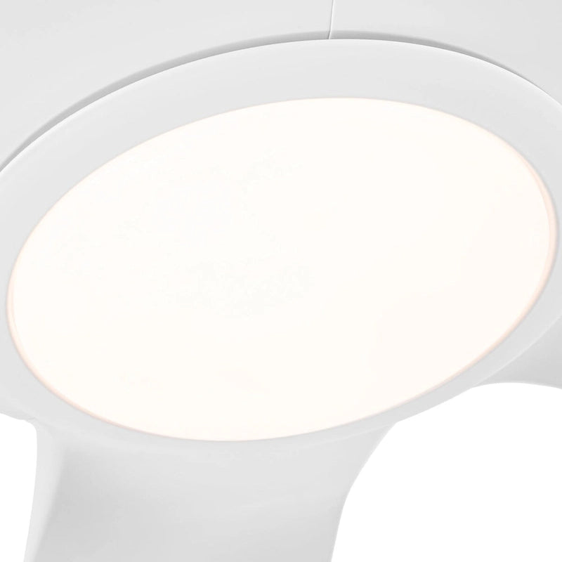 Ventilateur de plafond avec éclairage et télécommande (60 pouces)