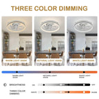 Ventilateur de plafond discret 20 pouces FanLight avec éclairage LED à intensité variable (3 températures de couleur), moteur silencieux à 6 vitesses pour chambre à coucher