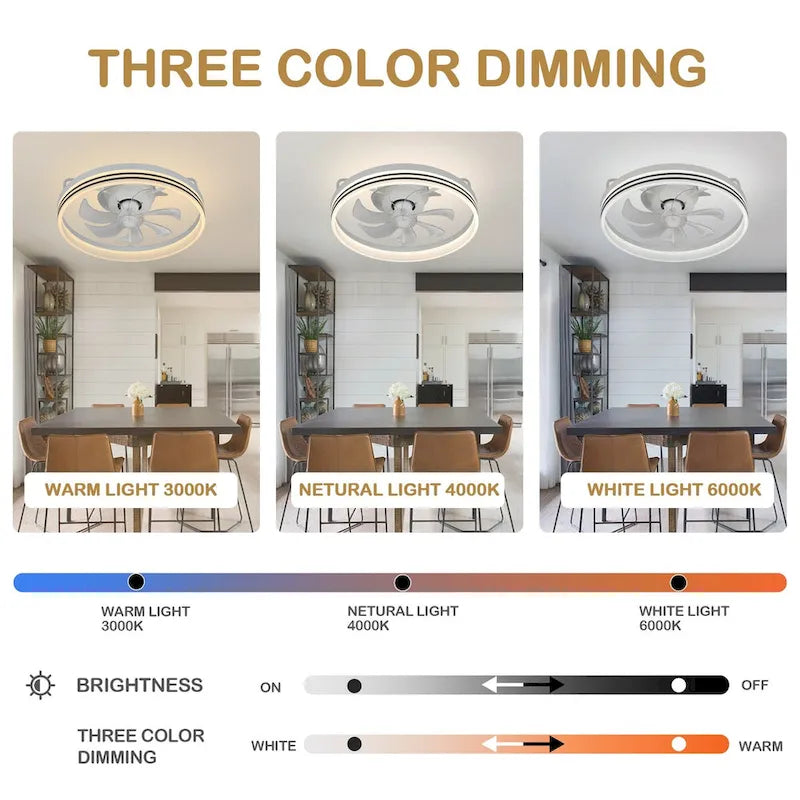 Ventilateur de plafond discret 20 pouces FanLight avec éclairage LED à intensité variable (3 températures de couleur), moteur silencieux à 6 vitesses pour chambre à coucher