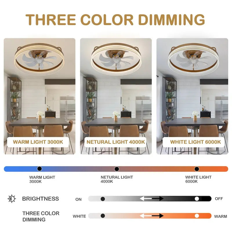 Ventilateur de plafond discret 20 pouces FanLight avec éclairage LED à intensité variable (3 températures de couleur), moteur silencieux à 6 vitesses pour chambre à coucher