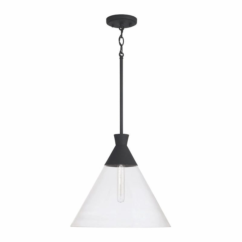 Paloma 1-light Hanging Pendant w/ Clear Glass