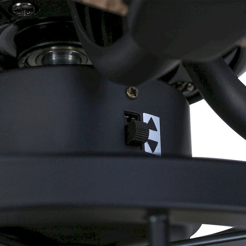 Ventilateur de plafond intérieur noir de 52 pouces avec lumière et télécommande (5 pales)