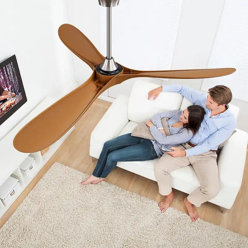 Ventilateur de plafond extérieur 60 pouces sans éclairage, 3 pales en ABS avec commande par application intelligente