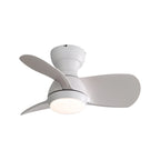 Ventilateur de plafond intérieur de 23 pouces