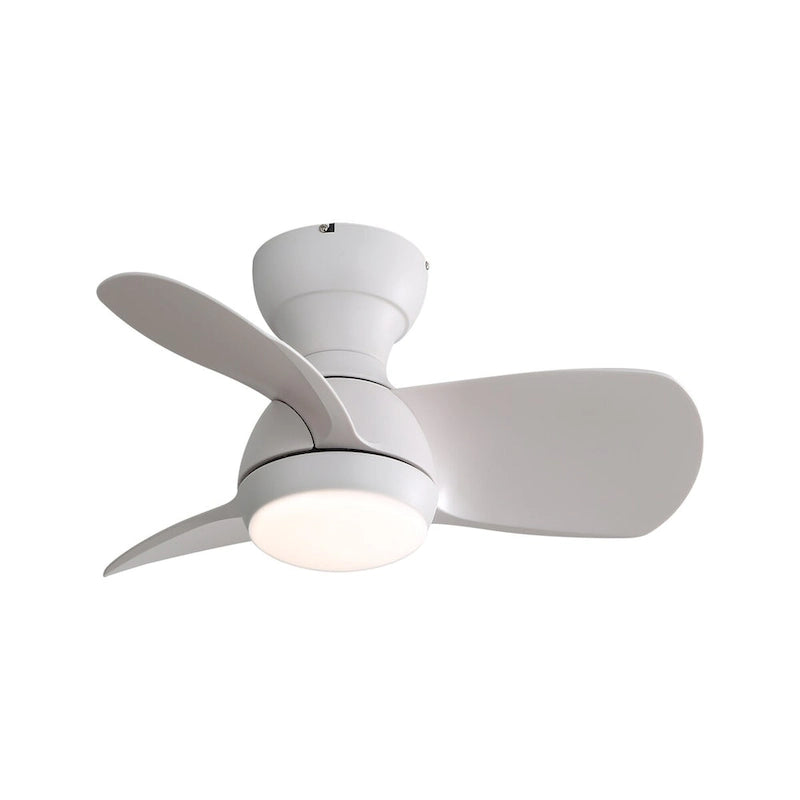 Ventilateur de plafond intérieur de 23 pouces